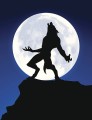 Soirées Loup Garoup
